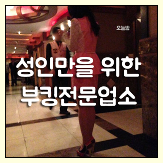 강남호텔나이트