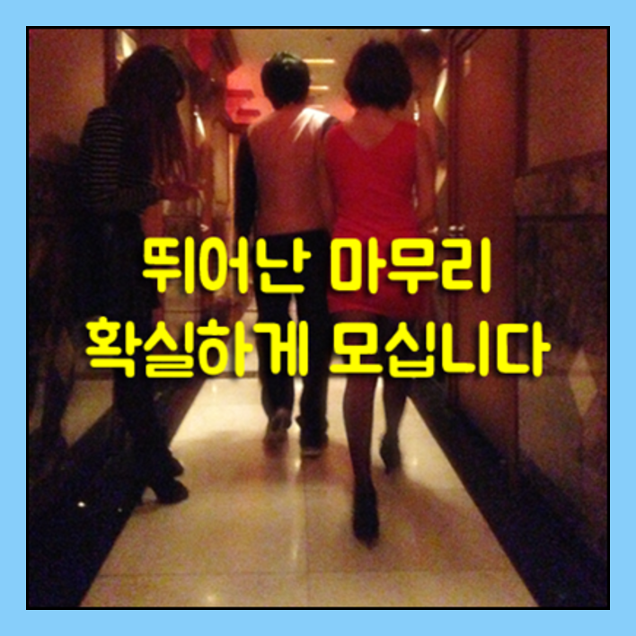 일산샴푸나이트s