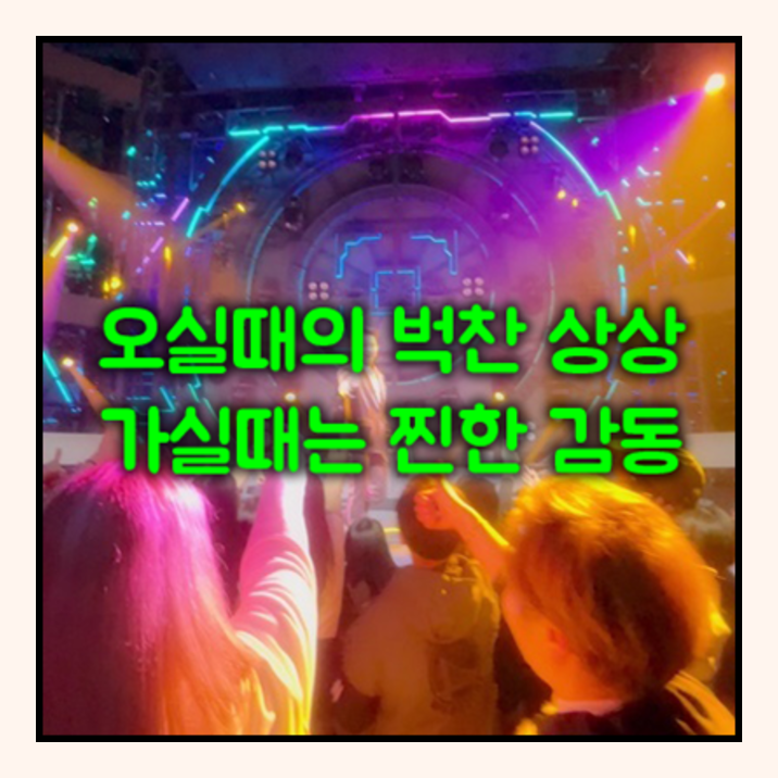 슈유샴푸w wt로또